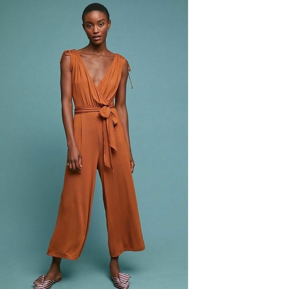 Anthropologie Pants - Anthropologie ALISANDE JUMPSUIT new